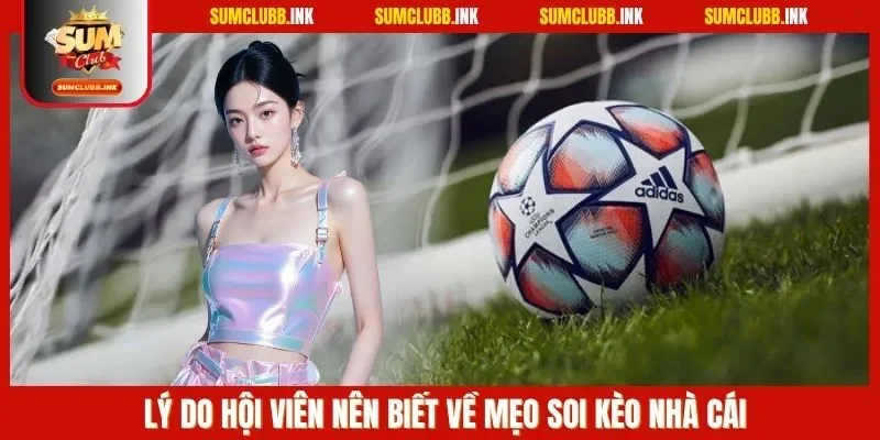 Lý do hội viên nên biết về mẹo soi kèo nhà cái