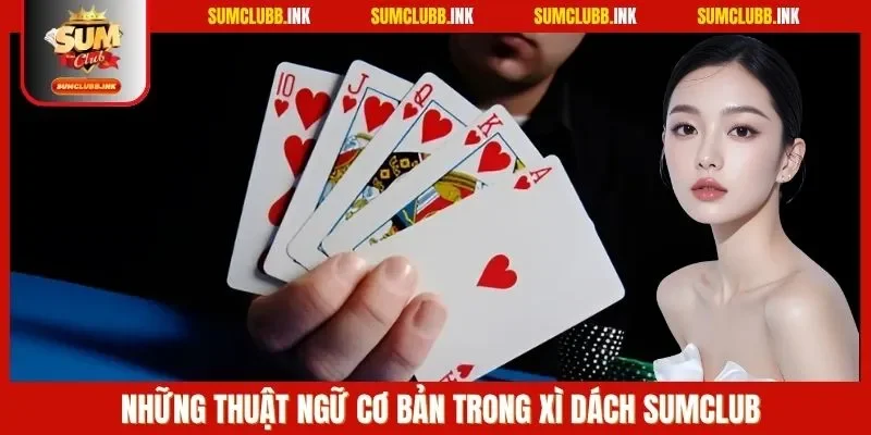 Những thuật ngữ cơ bản trong xì dách SUMCLUB