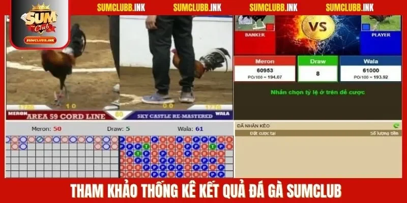 Tham khảo thống kê kết quả đá gà SUMCLUB